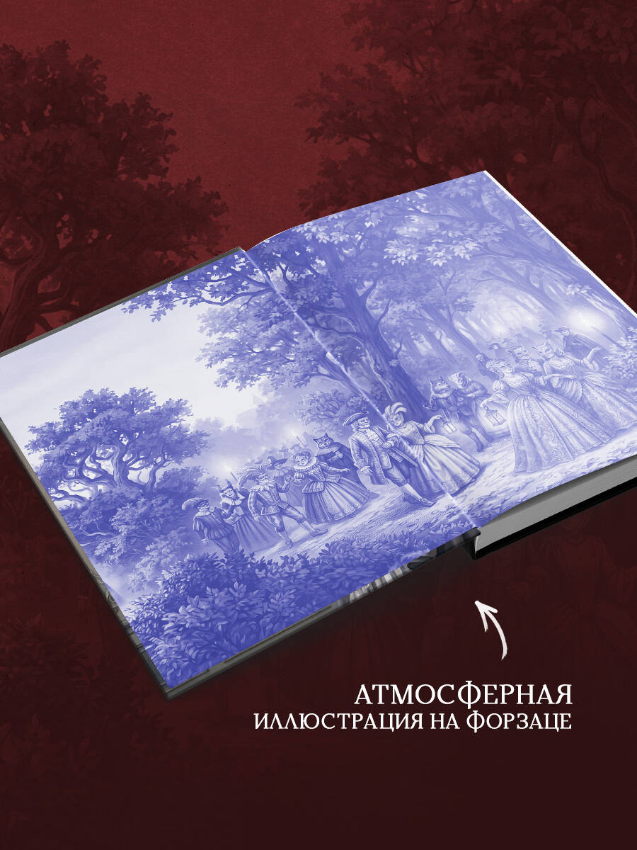 Книга Эксмо Венец ведьм - фото 3