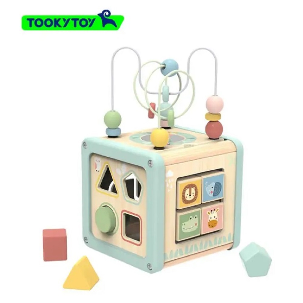 Игрушка Tooky Toy сортер - фото 1