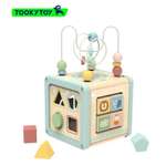 Игрушка Tooky Toy сортер