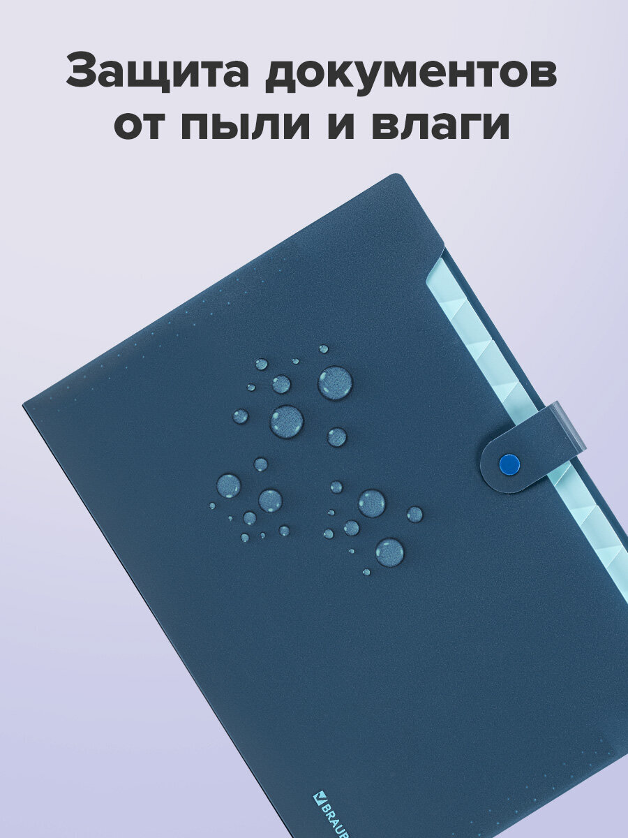 Папка-органайзер Brauberg А4 - фото 5