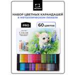 Карандаши цветные Малевичъ 60 шт.