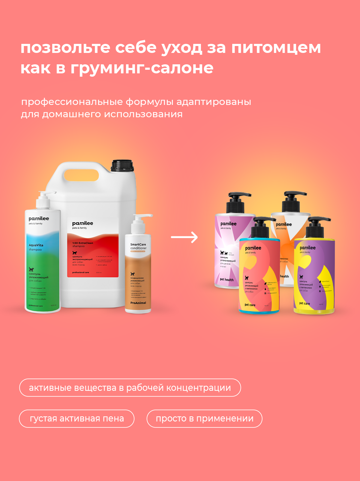 Шампунь с тропическим ароматом Pamilee универсальный домашний увлажняющий для собак - фото 7