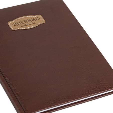 Дневник школьный Brauberg для девочек мальчика 1-11 класс