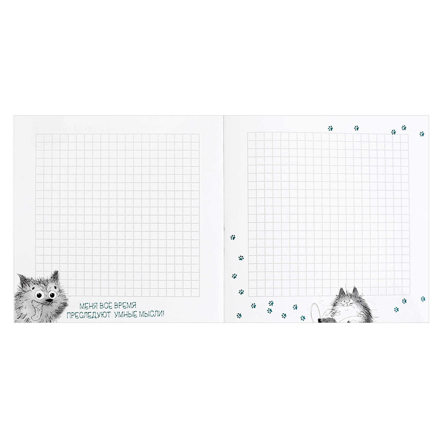 Тетрадь Феникс + 32 лист. 1 шт. - фото 5