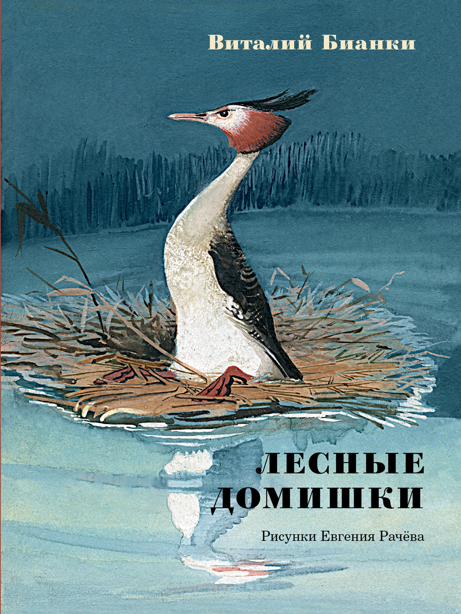 Книга Издательство Речь Лесные домишки. Сказки и рассказы - фото 1