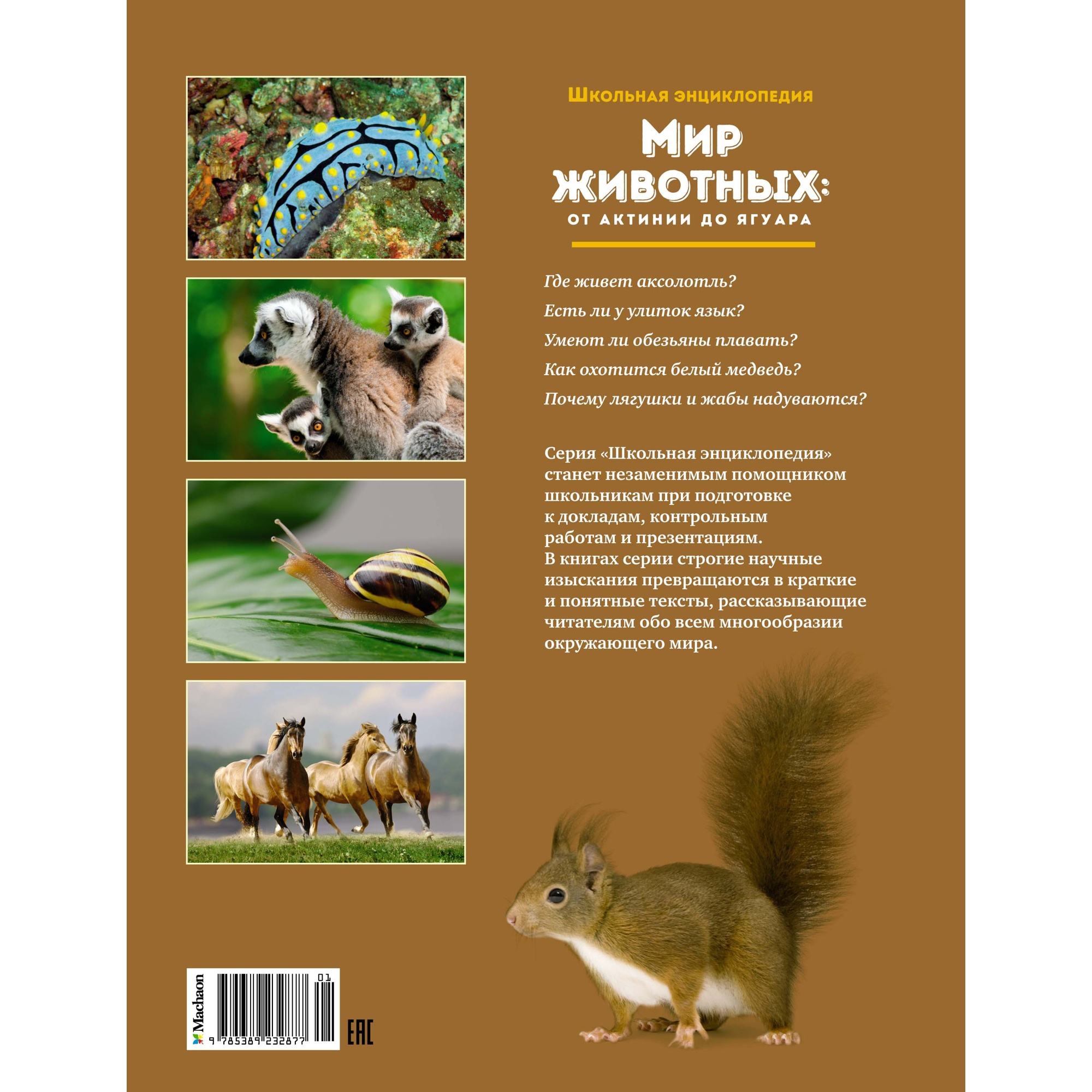 Книга Махаон Мир животных: От актинии до ягуара. - фото 10