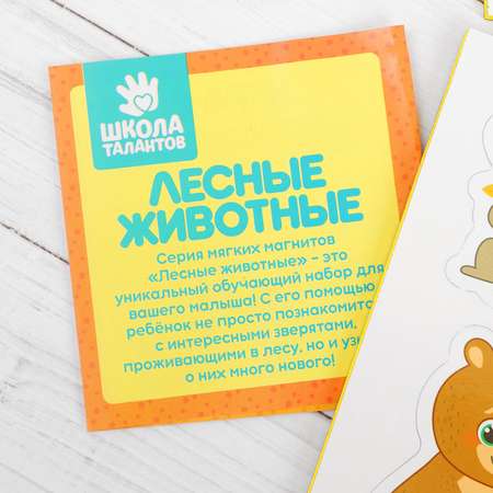 Конструктор Школа Талантов магнитный