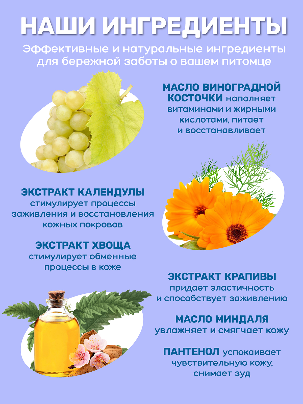 Набор бархатные лапки ZOORIK уход после прогулки 1000+250 мл - фото 8