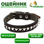 Ошейник Пижон кожа и брезент Ёж 55 см чёрный