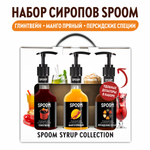 Набор сиропов SPOOM Глинтвейн Манго пряный Персидские специи для кофе 3шт 250мл + 3 дозатора