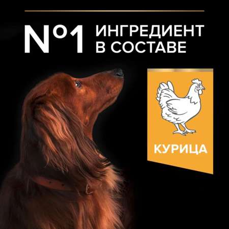 Корм для собак PRO PLAN мелких и миниатюрных пород с комплексом Optibalance с высоким содержанием курицы 3кг