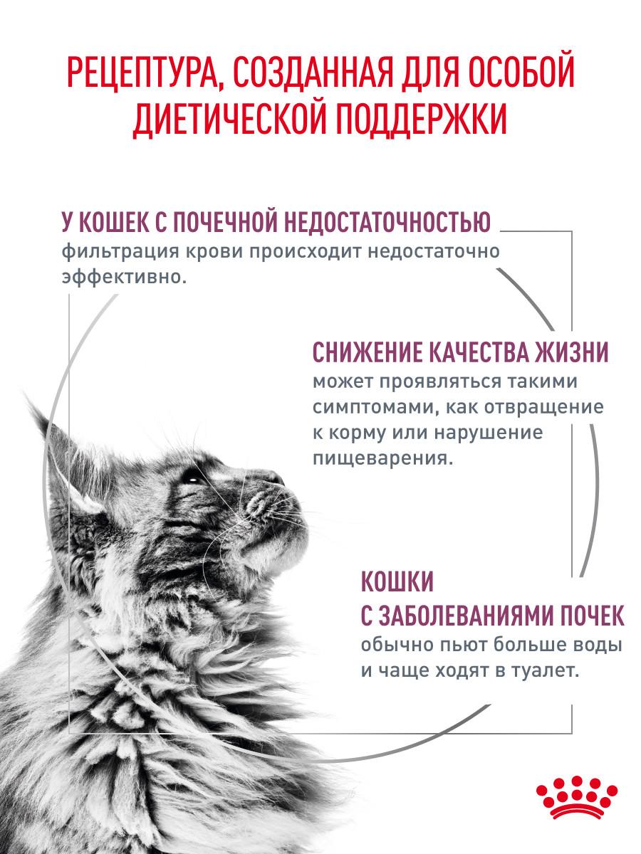 Корм для кошек ROYAL CANIN Renal with chicken для поддержания функции почек 85г - фото 2