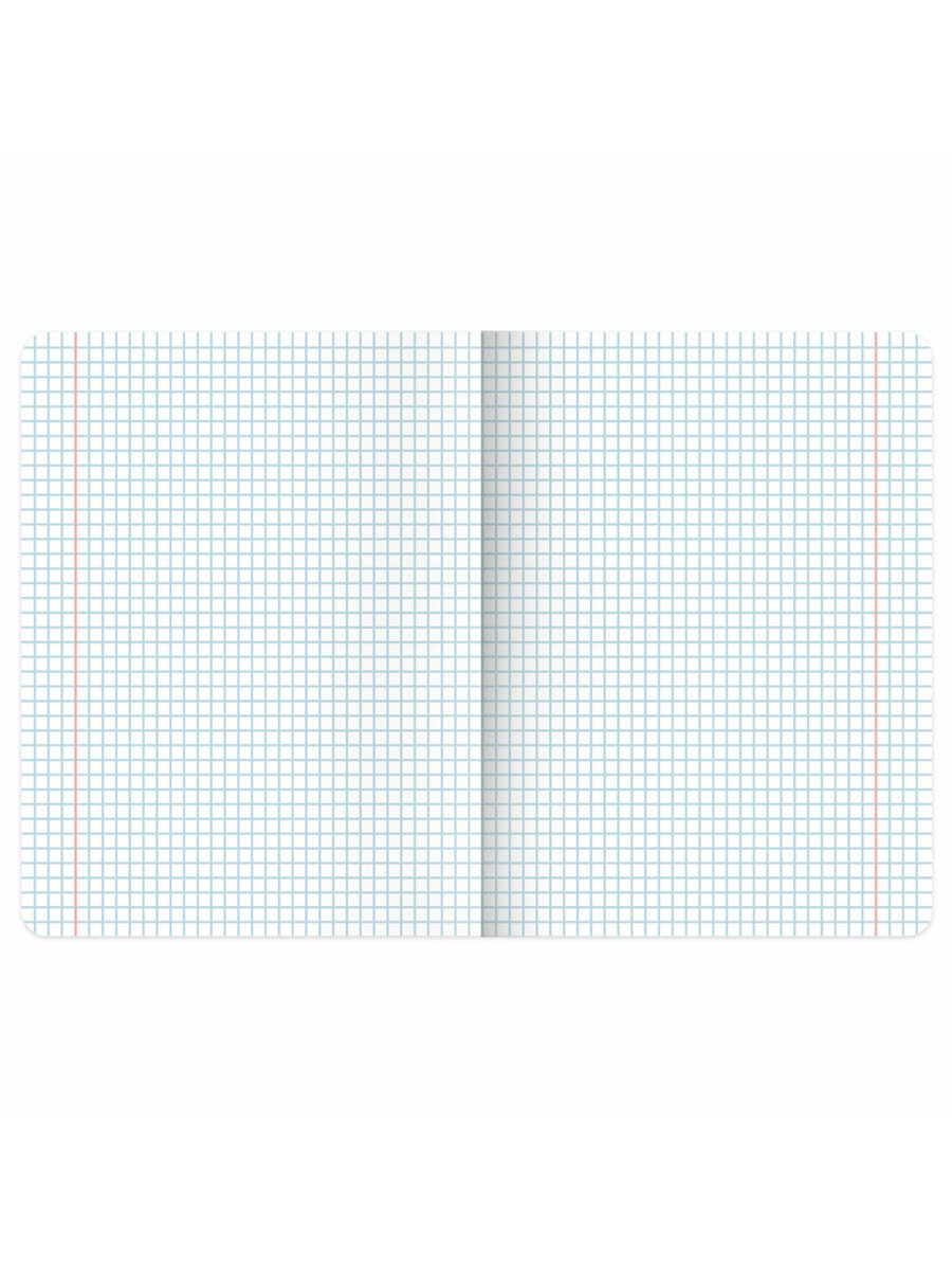 Общая тетрадь Brauberg клетка 48 лист. 5 шт. - фото 8