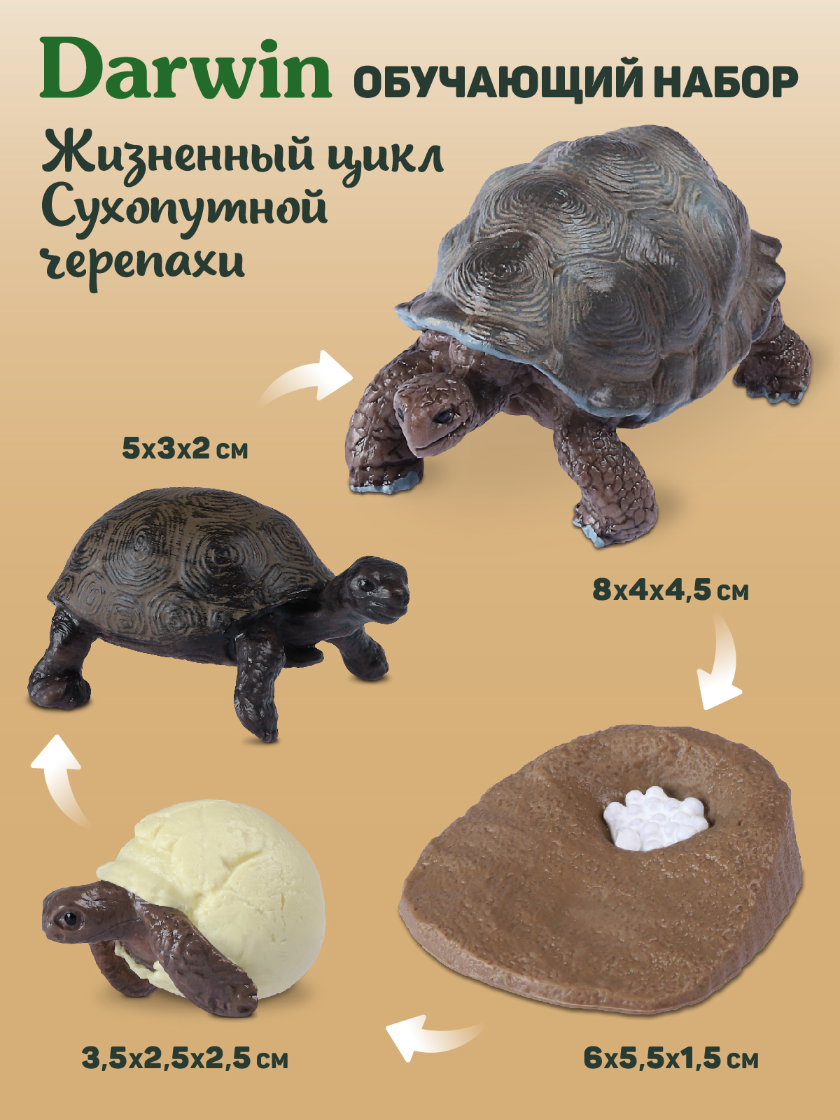 Игровой набор DARWIN Животные Черепаха - фото 3