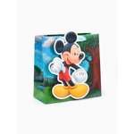 Пакет подарочный Disney Мышонок 22 × 22 × 10 см