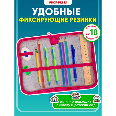 Пенал книжка Prof-Press