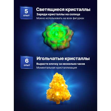 Набор для выращивания Master IQ2