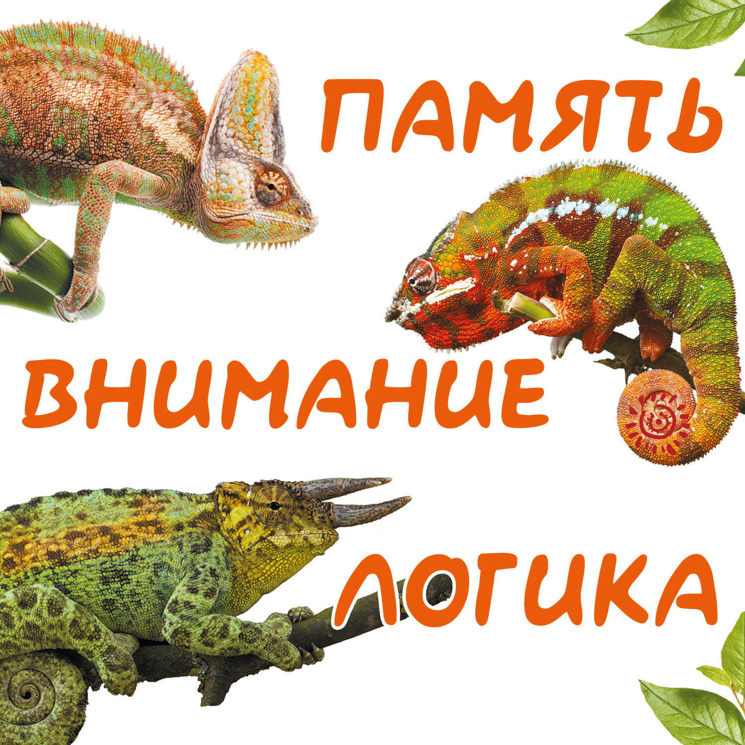 Раскраска Солнышко Арт развитие логики-внимания-памяти Хамелеоны - фото 2