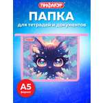 Папка для тетрадей Пифагор А5