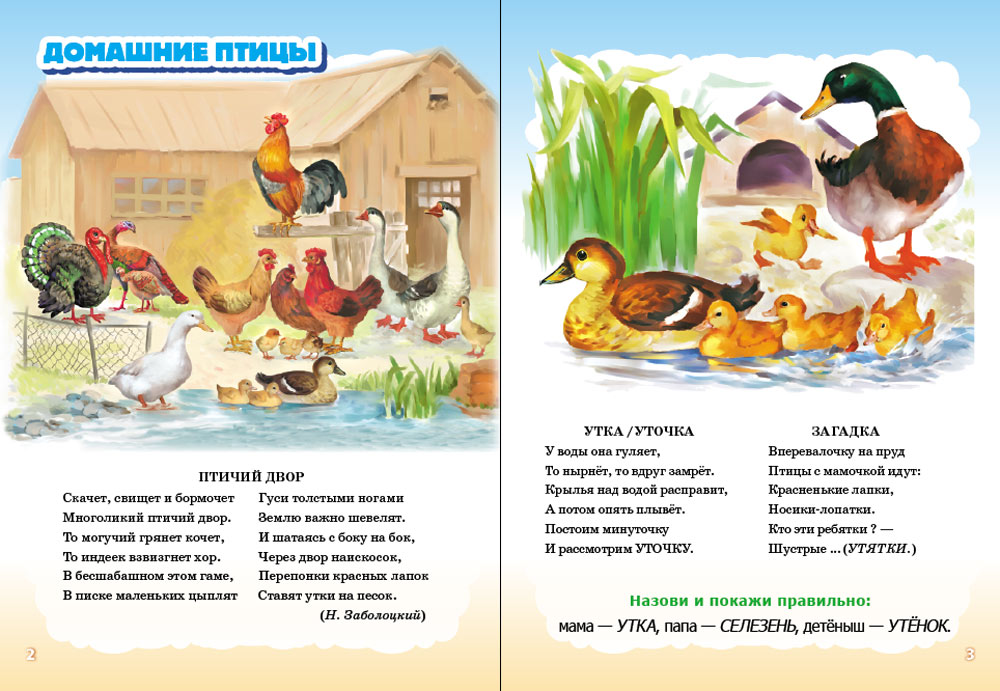 Стихи и загадки Школьная Книга 5 книг в картинках стихах и загадках - фото 8