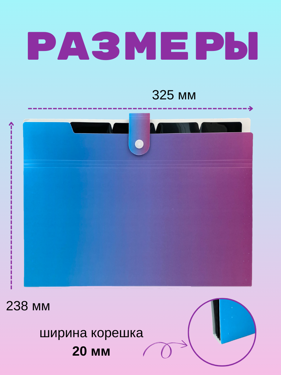 Папка-органайзер AXLER с разделителями А4 - фото 2