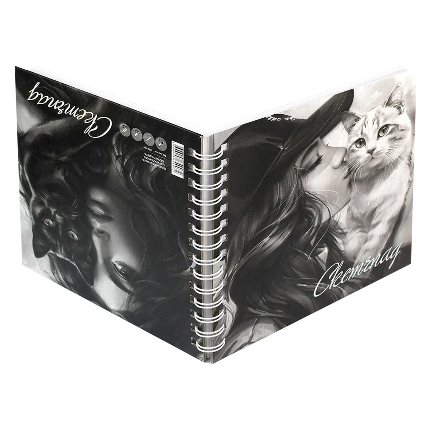 Скетчбук Феникс + А5 80 лист. - фото 2