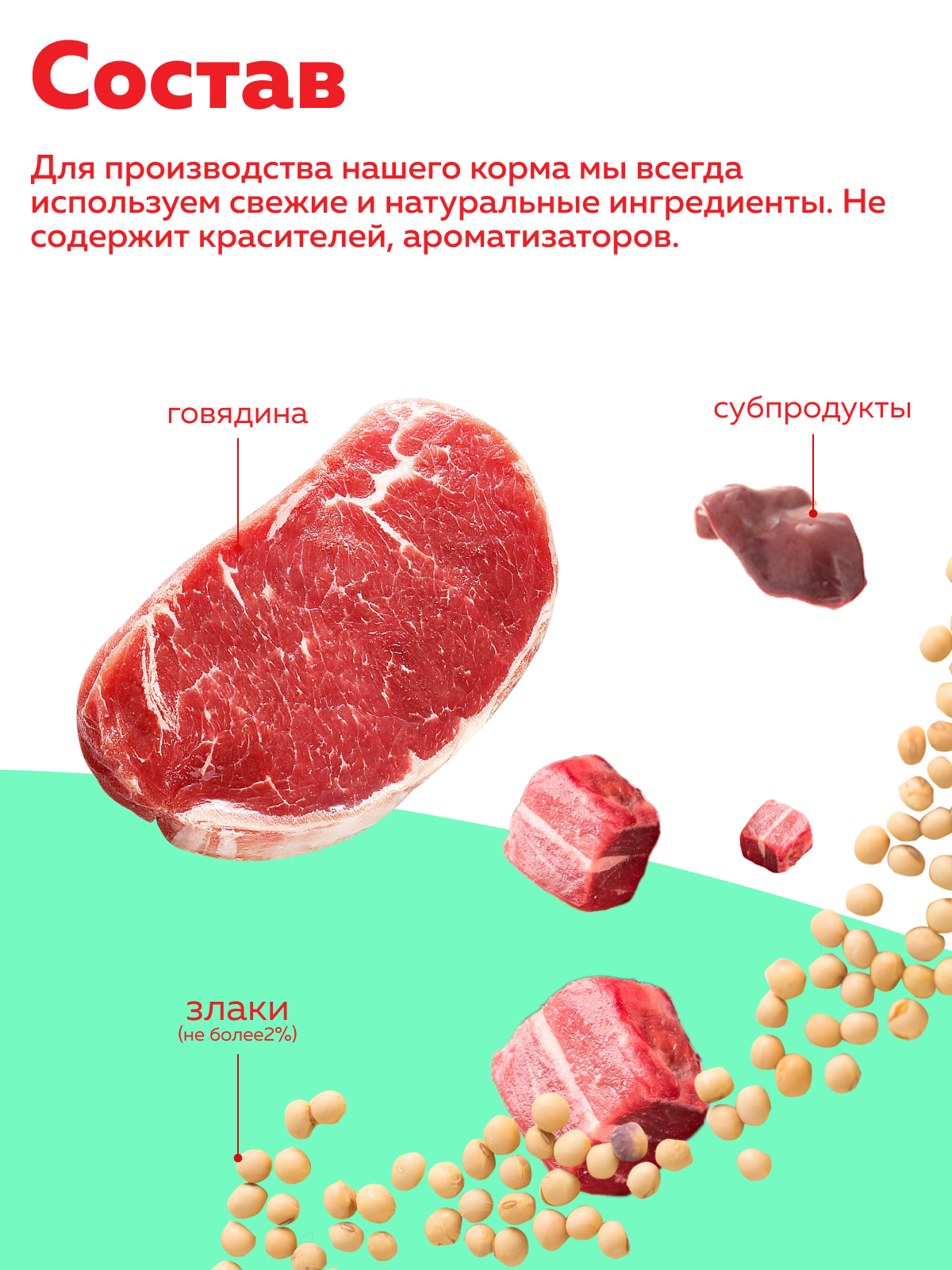 Корм влажный Зоогурман Big Dog Говядина - фото 4