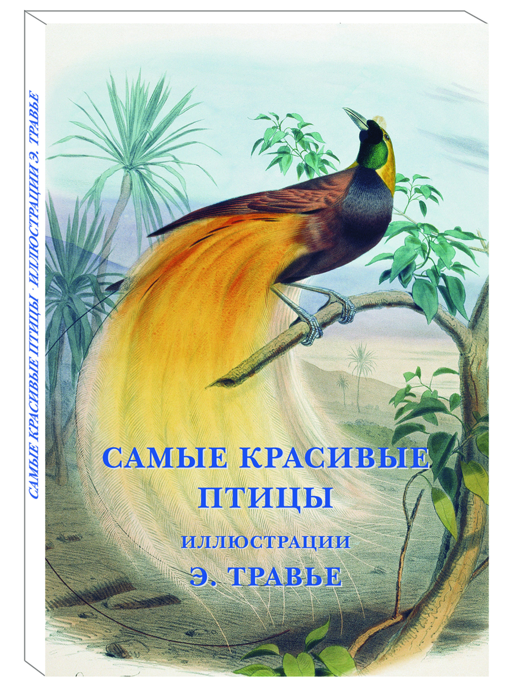 Набор открыток Белый город Самые красивые птицы Иллюстрации Э. Травье - фото 1