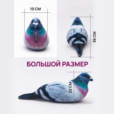 Сквиш Мемограм