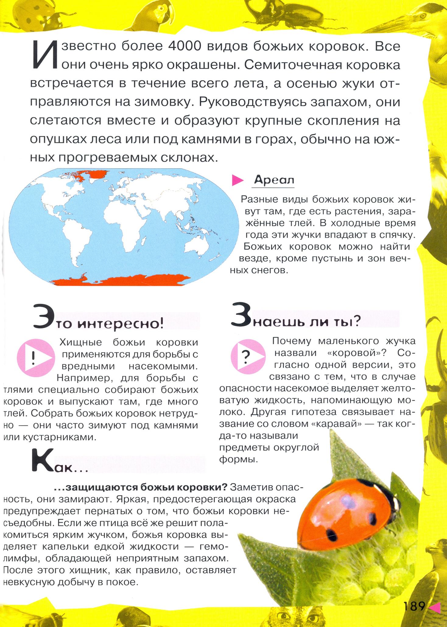 Книга Лабиринт Под водой на суше в воздухе - фото 2