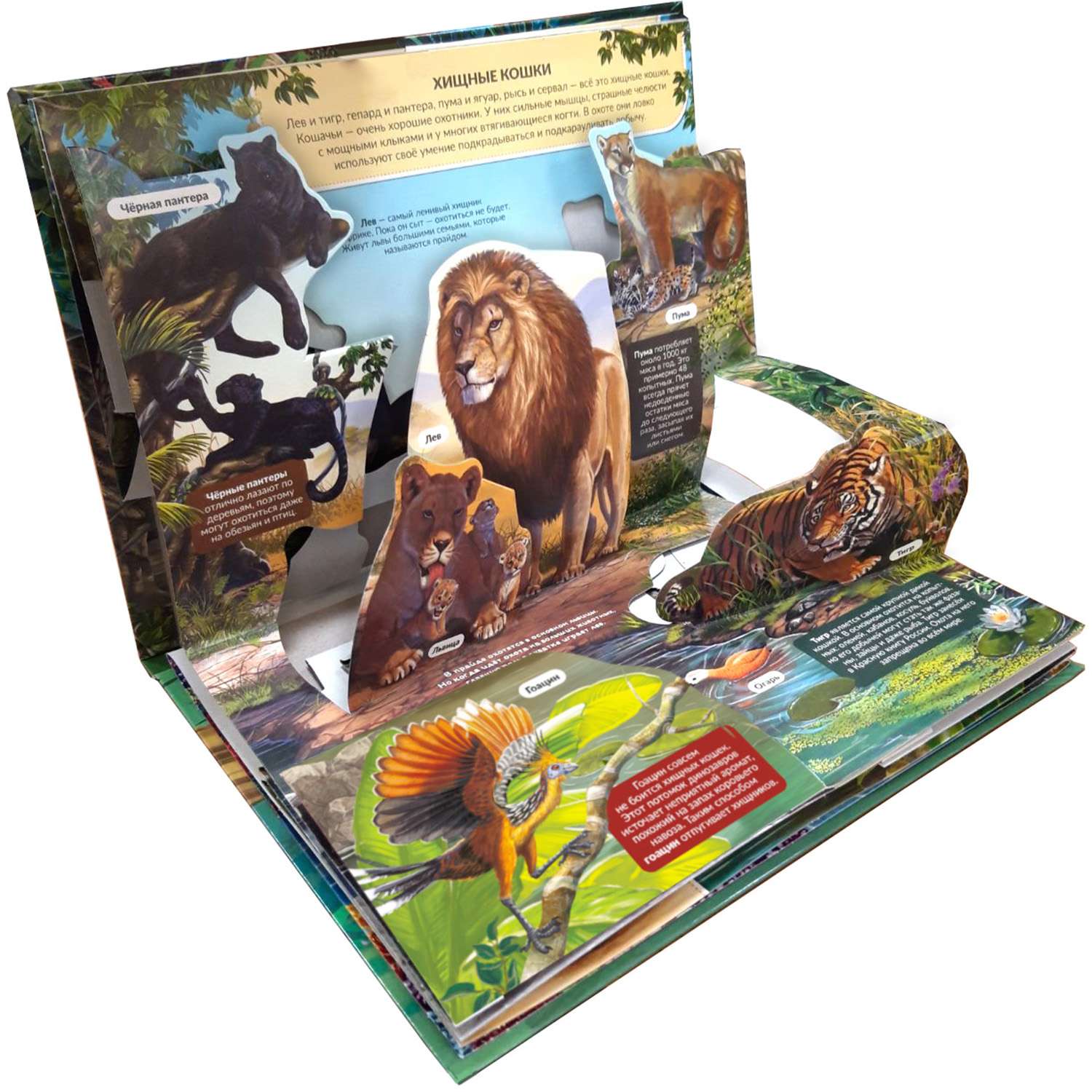 Энциклопедия-панорамка 3D Malamalama Хищники Книжка-панорамка - фото 3