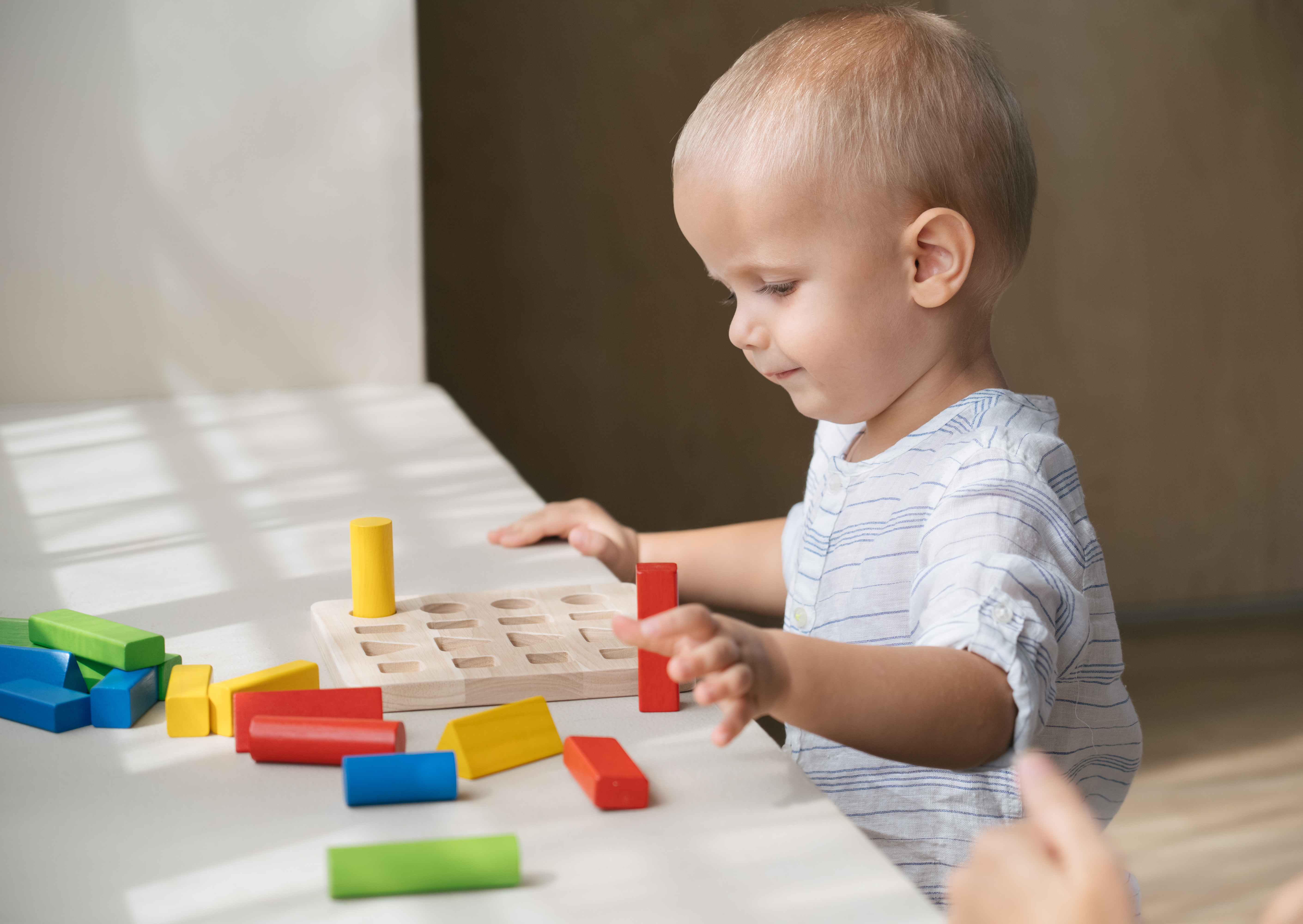 Игрушка Plan Toys сортер - фото 4