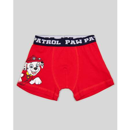 Трусы 2 шт Paw Patrol
