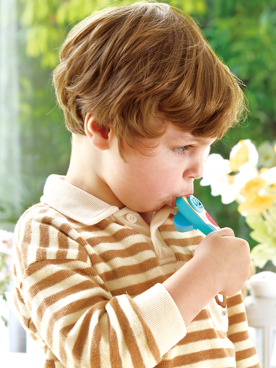 Игрушка музыкальная Hape саксофон, флейта, губная гармошка - фото 9