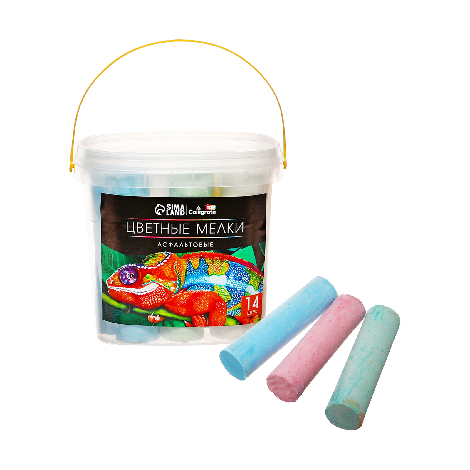 Calligrata - фото 1