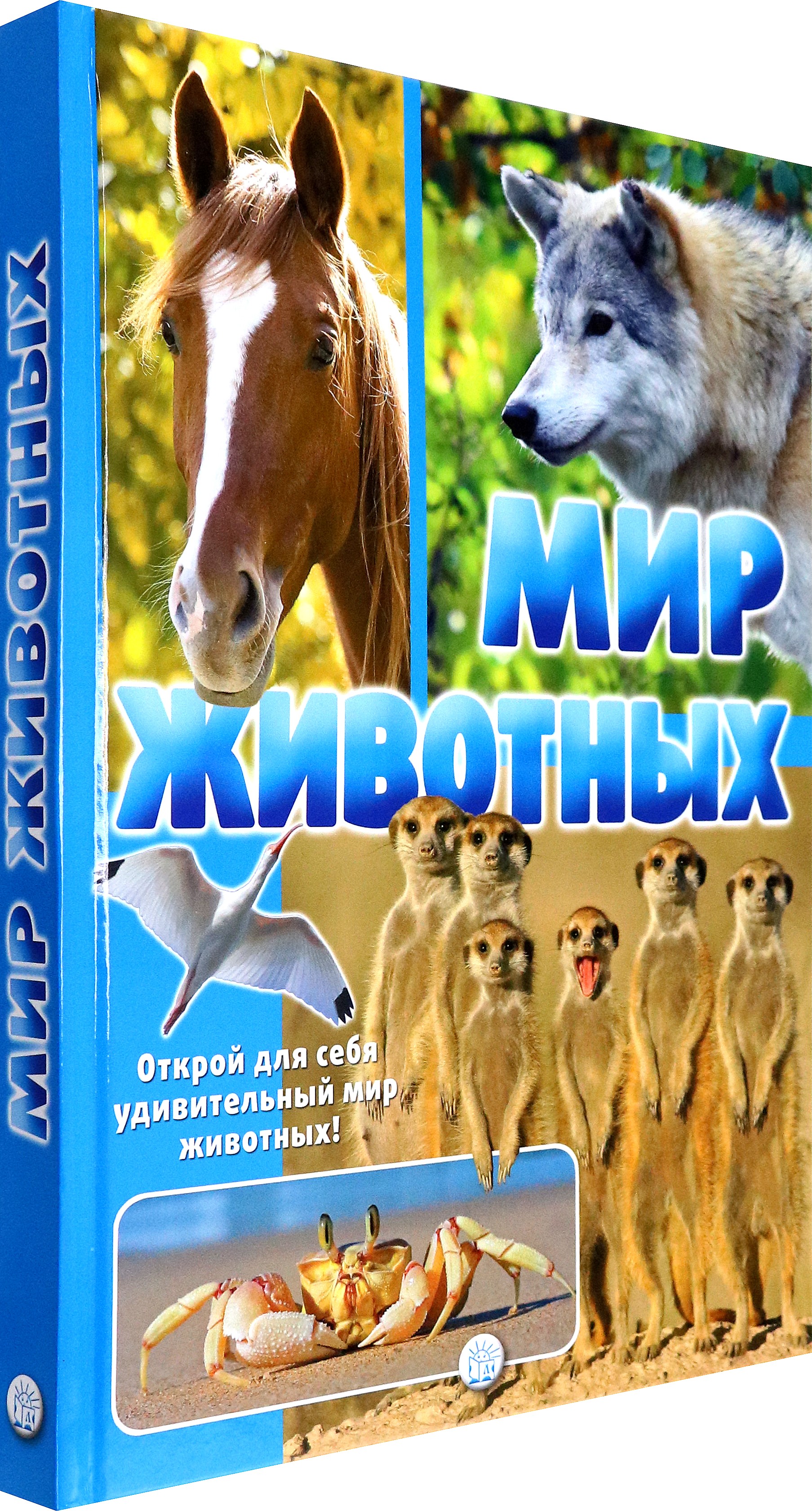 Книга Лабиринт Мир животных Открой для себя удивительный мир животных - фото 3