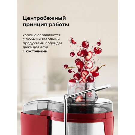 Соковыжималка Galaxy LINE GL0816 Божоле
