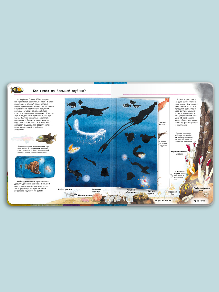 Книга Омега-Пресс Энциклопедия для детей с окошками Мир морских животных - фото 16