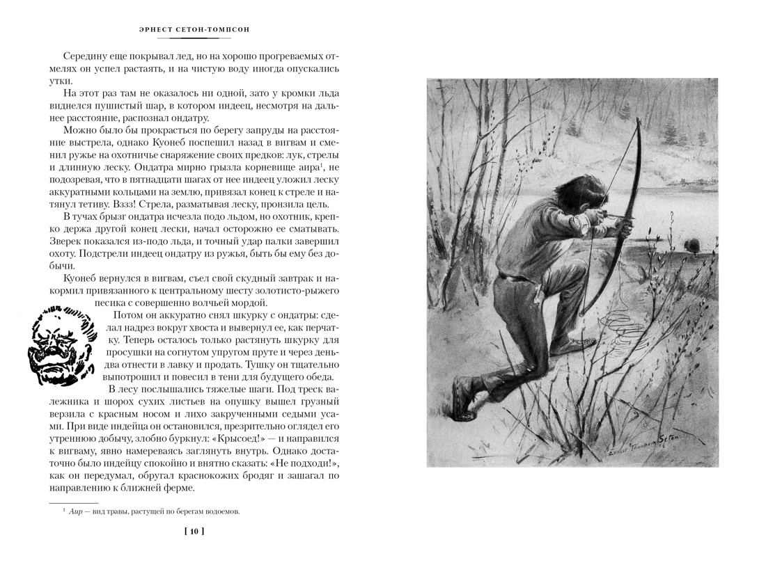 Книга АЗБУКА ИЛБК. Сетон-Томпсон Э. Рольф в лесах. Лесные рассказы (с илл.) - фото 14