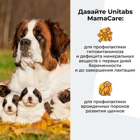 Витамины для собак Unitabs Мама Care беременных c B9 100таблеток