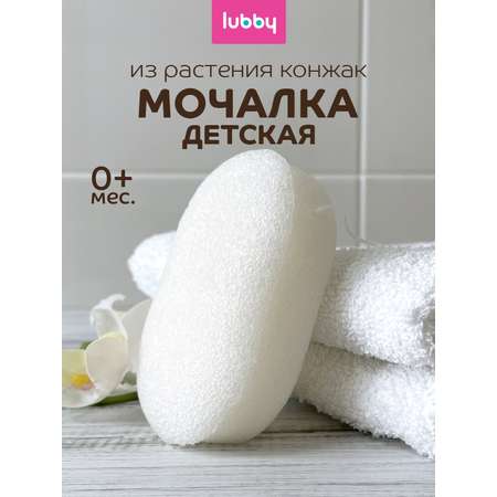 Губка Lubby
