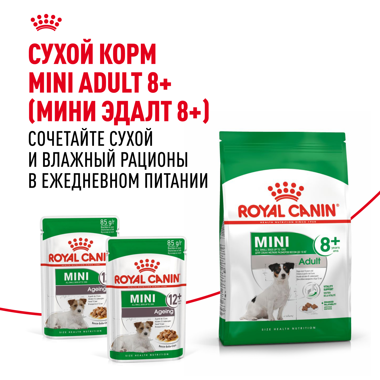 Корм для собак ROYAL CANIN Mini Ageing 12+ для стареющих собак мелких размеров 85г - фото 8