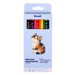 Карандаши цветные Erhaft 12 шт.