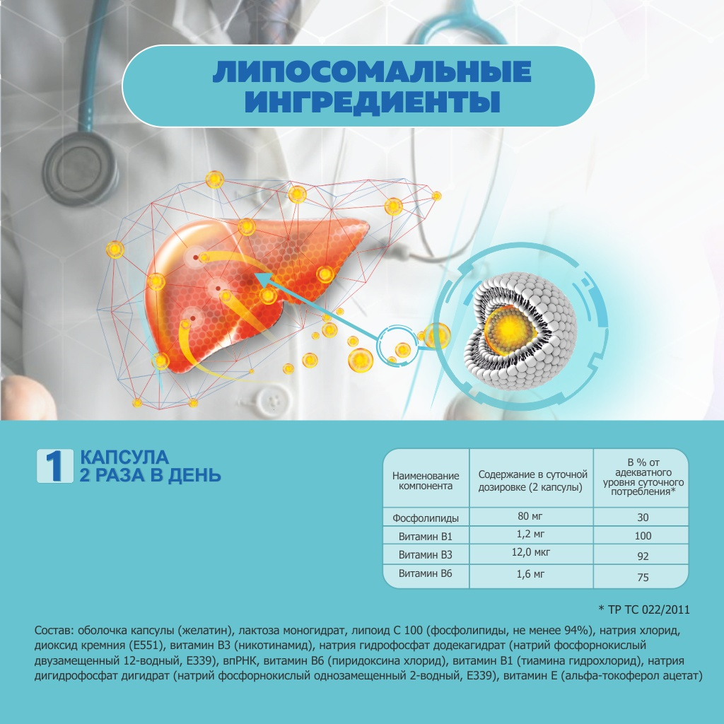 БАД VECTOR-MEDICA ГепатоЛИПИНТ ЛАЙТ для защиты печени, капсулы 202 мг №60 - фото 3