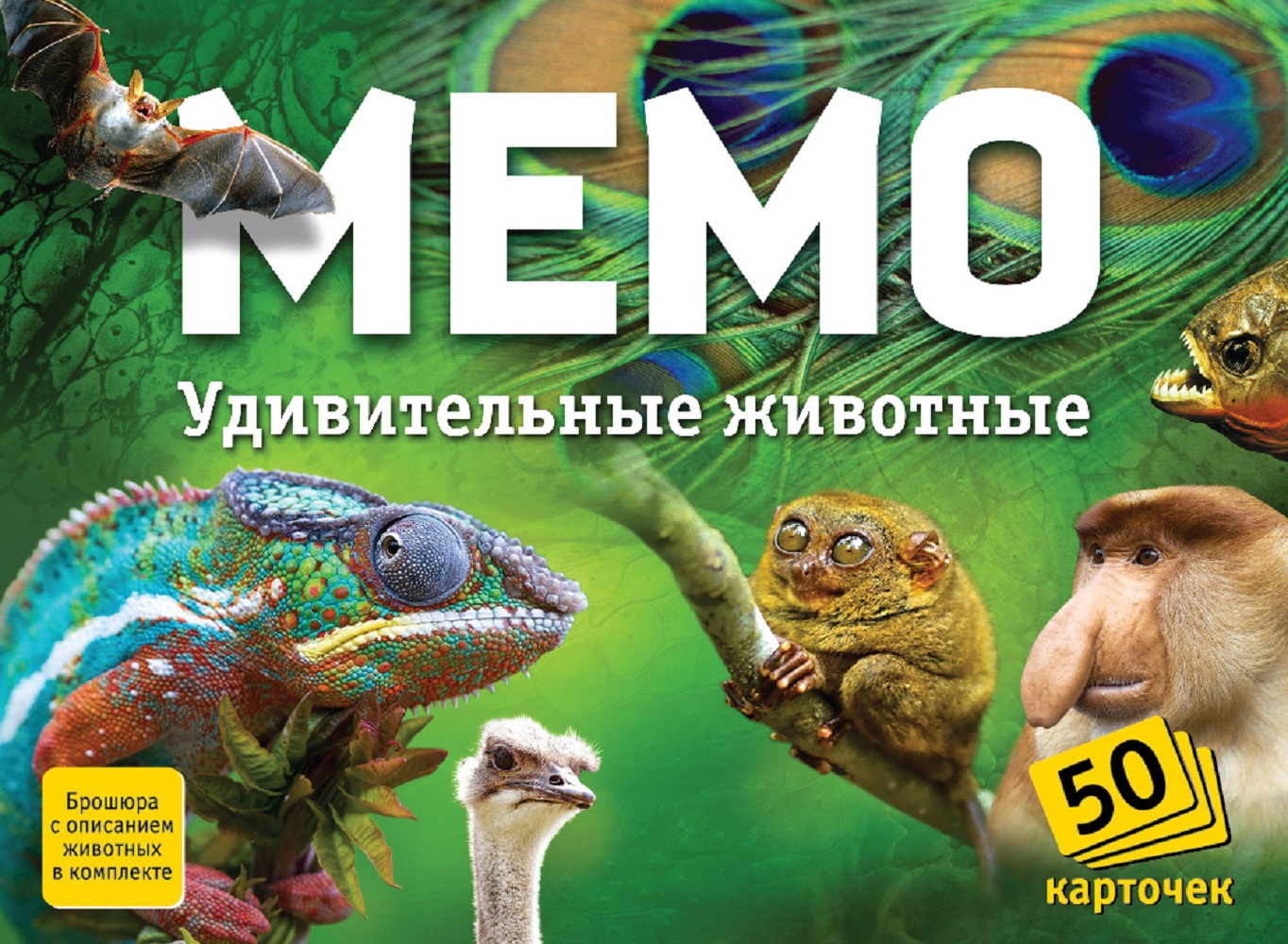 Настольная игра Нескучные игры Удивительные животные - фото 2