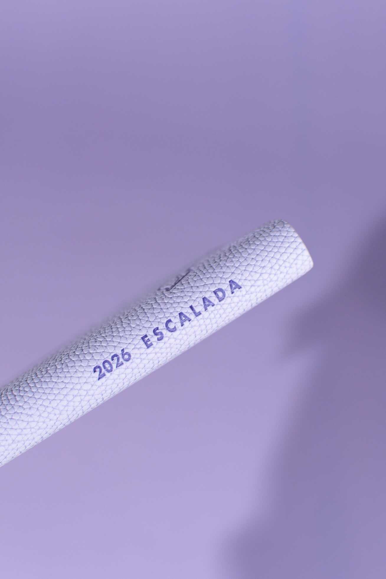 Ежедневник Феникс + ESCALADA 96 лист. - фото 9