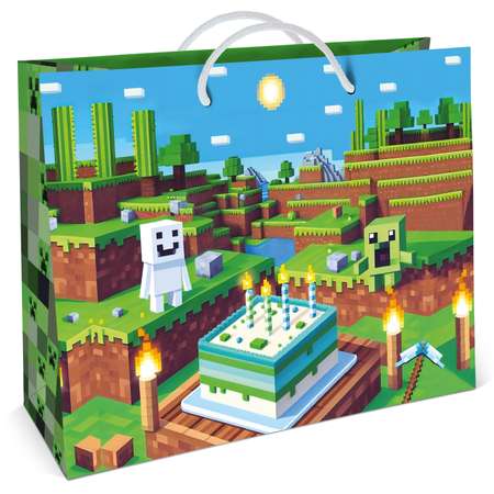 Пакет подарочный ND PLAY Ты красавчик 40*30см