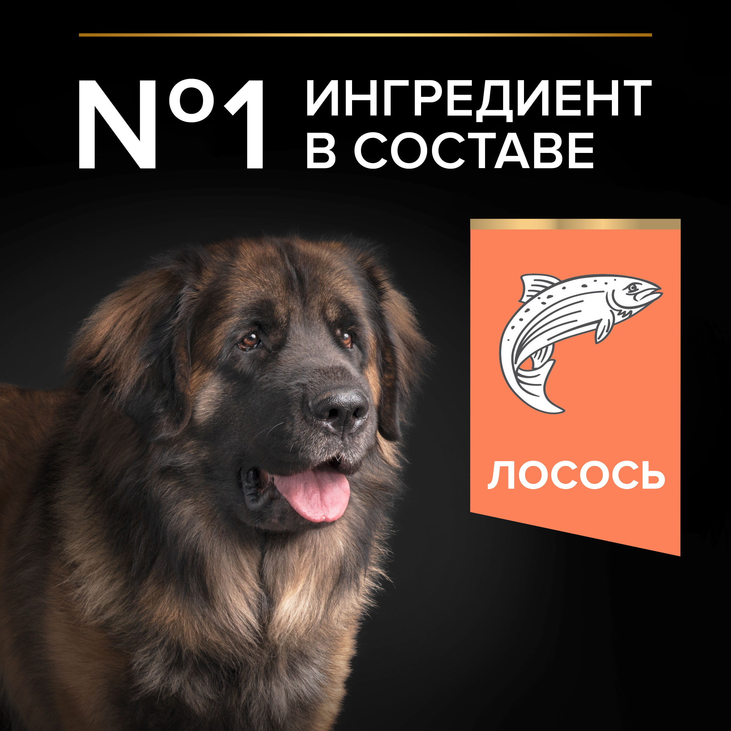 Корм для собак PRO PLAN крупных пород с мощным телосложением с чувствительной кожей с комплексом Optiderma лосось с рисом 14кг - фото 7