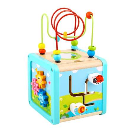 Игрушка Tooky Toy сортер