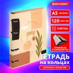 Тетрадь Brauberg клетка